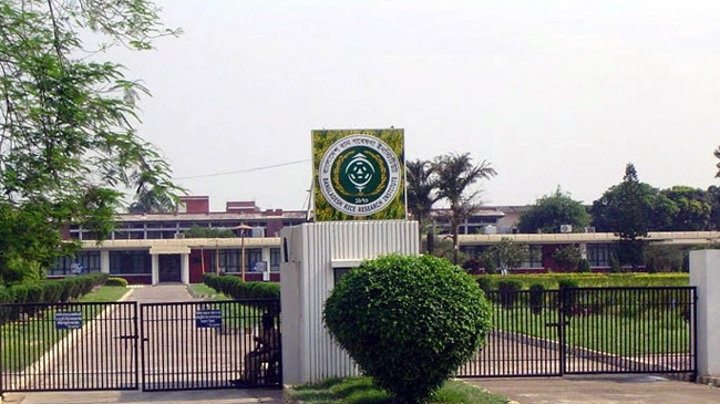 bangladesh rice research institute 1