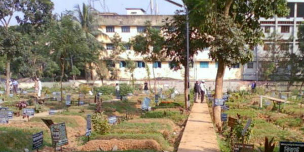 body stolen from grave in savar