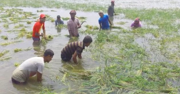 flood in northern area