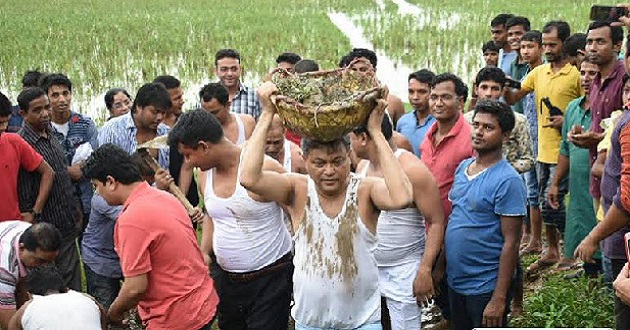 hasan mahmud works in field