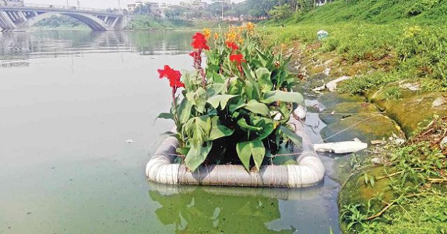 hatir jheel tree