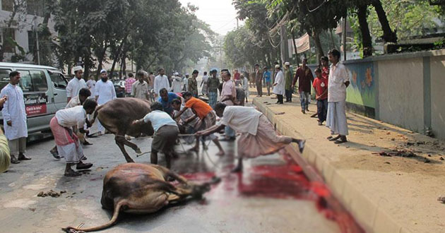 sacrifice day in dhaka 2018