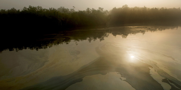 sela river sundarbans