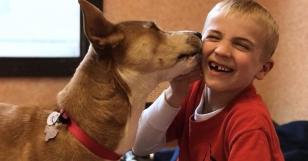 seven years old boy won award ror rescuing dogs2