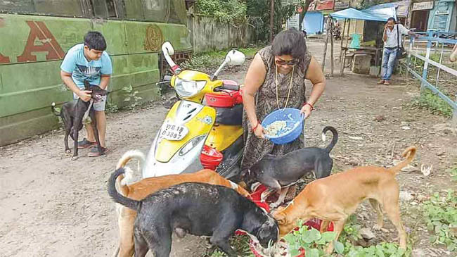 womans love for dogs