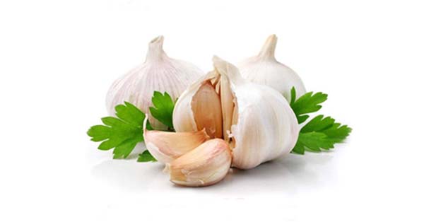 garlic health benefits