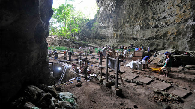 homo luzonensis philipines