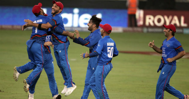 afghanistan celebrate a wicket