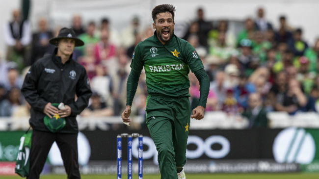 amir wicket celebrations