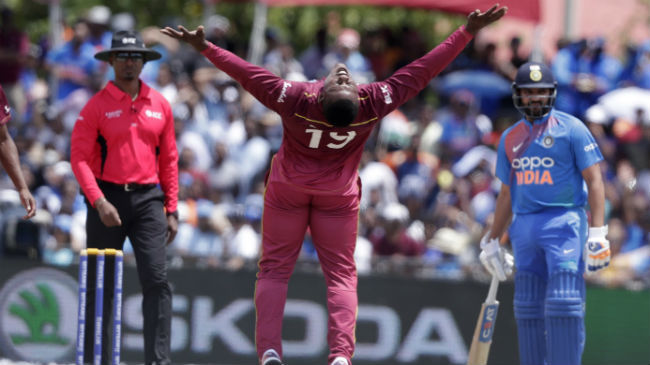 cottrell celebrates a wicket