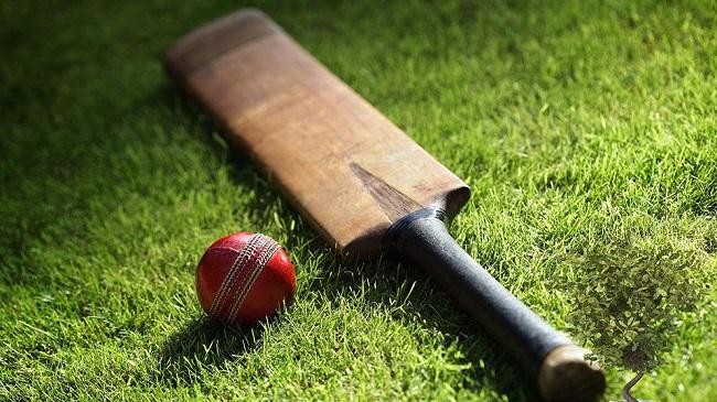 cricket bat and ball 1