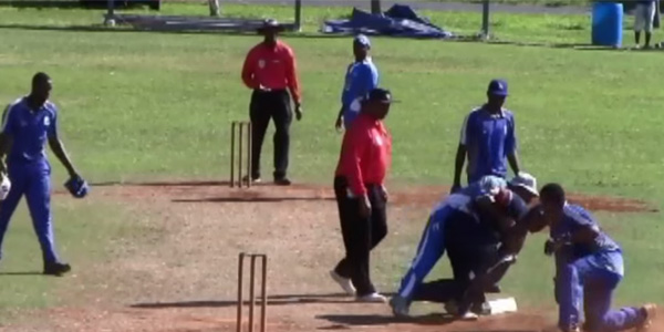 cricket fight of bermuda