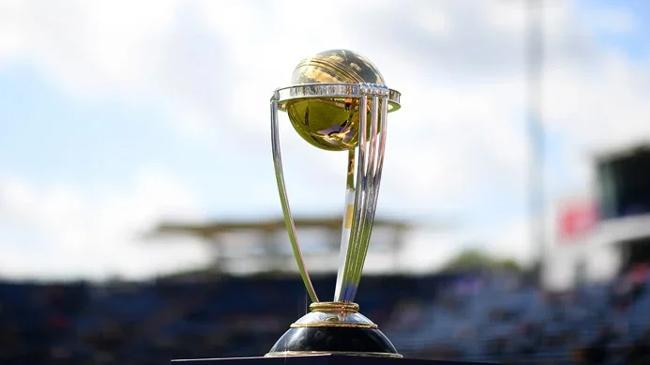 cricket world cup