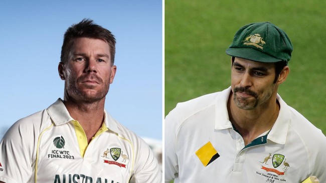 david warner and mitchell johnson