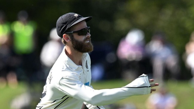 kane williamson 8