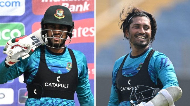 mehedi hasan miraz and anamul haque