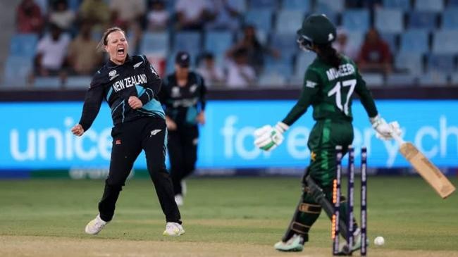 nz knock out pakistan