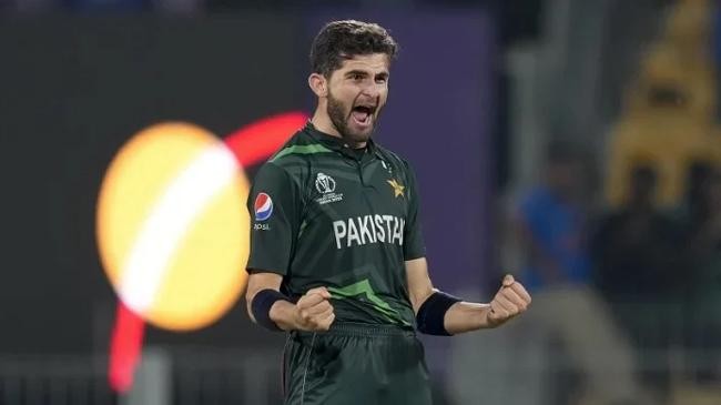 palistan shaheen shah afridi