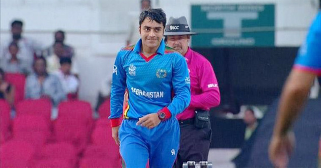 rashid khan afghanistan vs netherlands