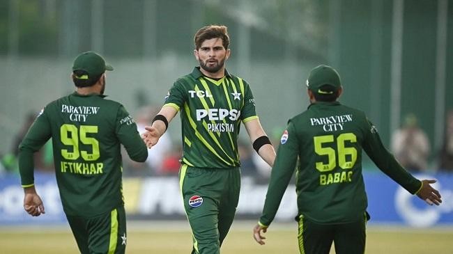 shaheen shah afridi celebrates a wicket