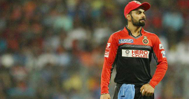 virat kohli ipl 2016