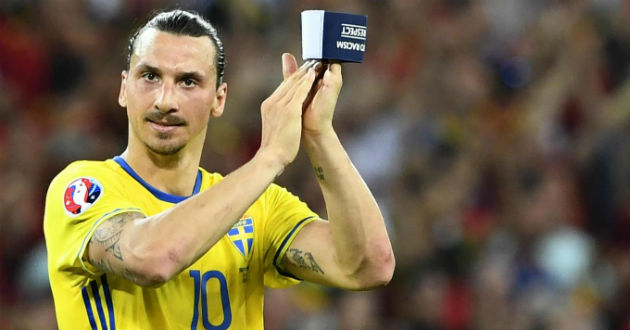 ibra will not play world cup