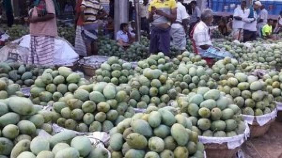 রাজশাহীতে আম সংগ্রহ ও বাজারজাতকরণের সময়সূচি ঘোষণা, ১৫ মের আগে নয়