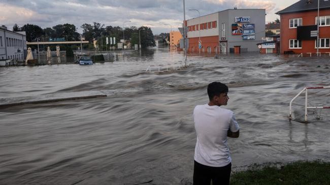 a flooded area of czech republic