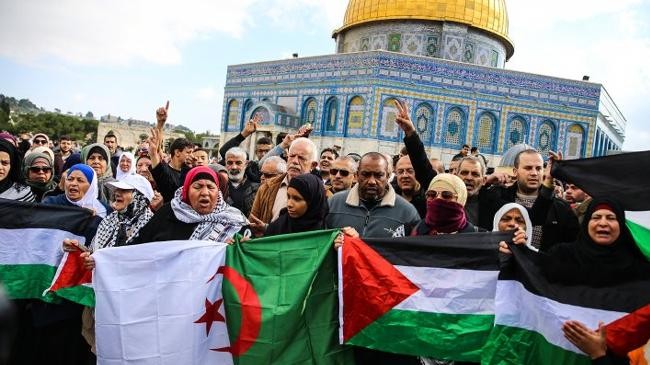 algerian and palestinian flag 