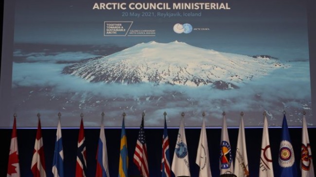 artic council