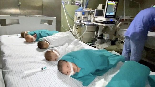 babies under treatment in the neonatal intensive care unit shifa hospital in gaza city gaza