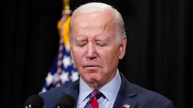 biden 24