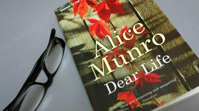 book of alice munro