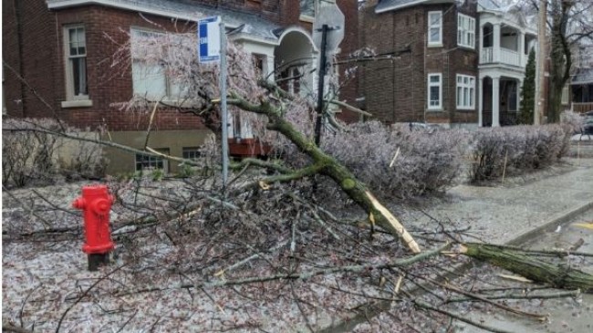 canada storm