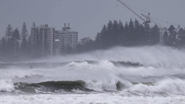 cyclones fringe lashes eastern australia