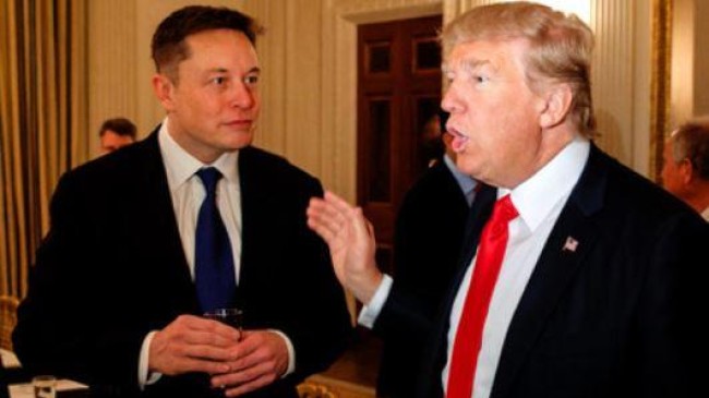 donald trump elon musk