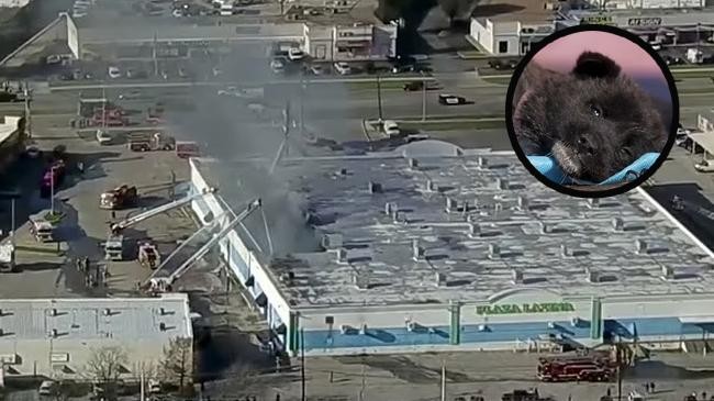 fire that broke out at a shopping center in dallas