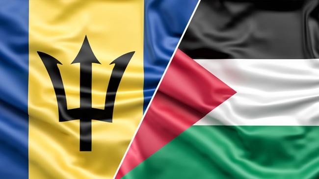 flag palestine and barbados