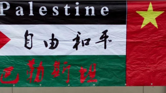 flag palestine china