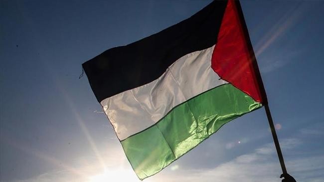flag palestine