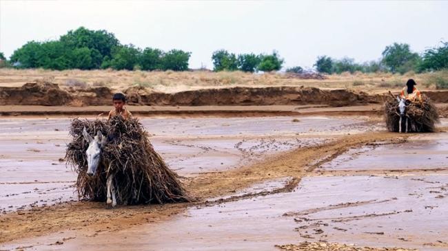 floods in yemens hodeida region