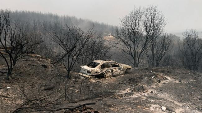 greece wildfires 1