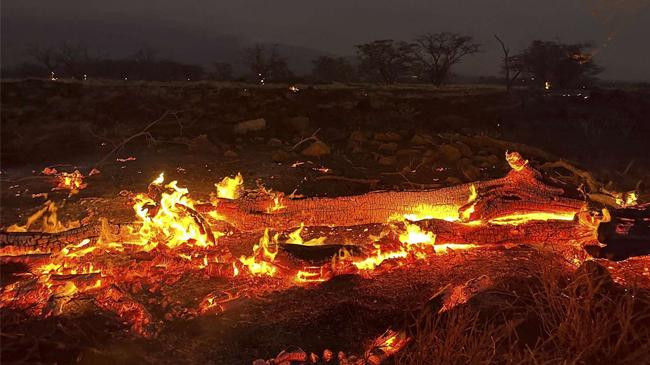 hawaii wildfire