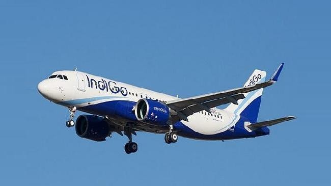 indigo 1