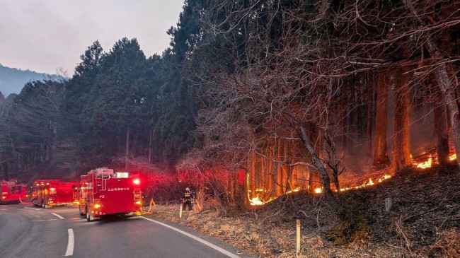 japan forest fire