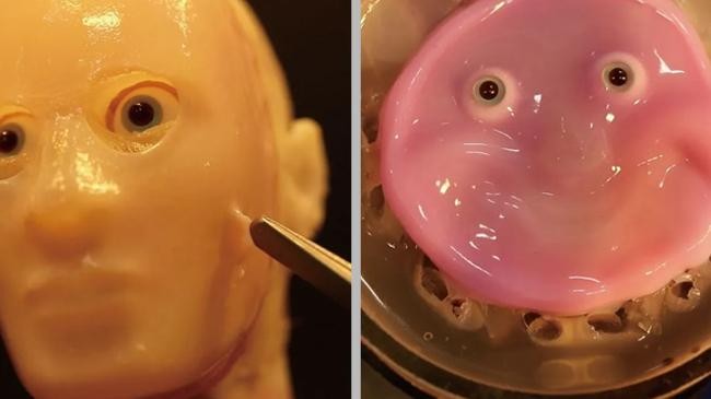 japanese scientists graft living skin onto smiling robot