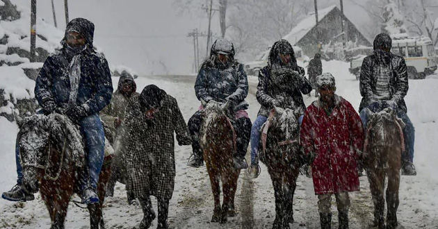 kashmir snow 01 2019