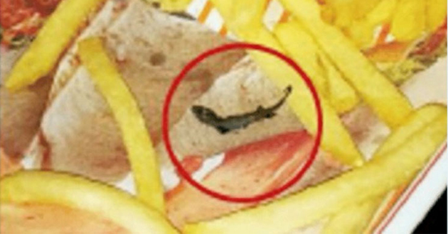 lizard with french fries