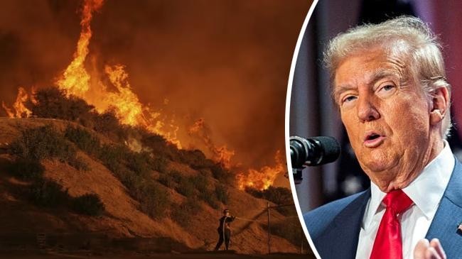 los angeles fire and donald trump