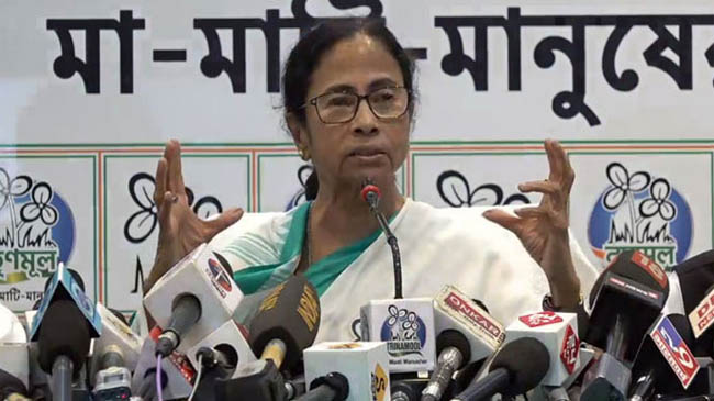 mamata bandhapaddhay india